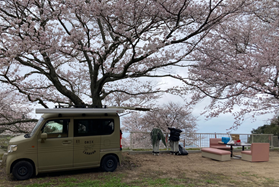 お花見🌸